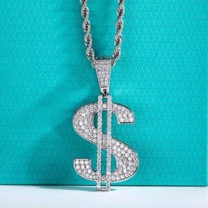 Moissanite Kalung Pria Wanita : D Color 925 Sterling Silver Dollar Pendant Layered Dazzling Hip Hop Necklace